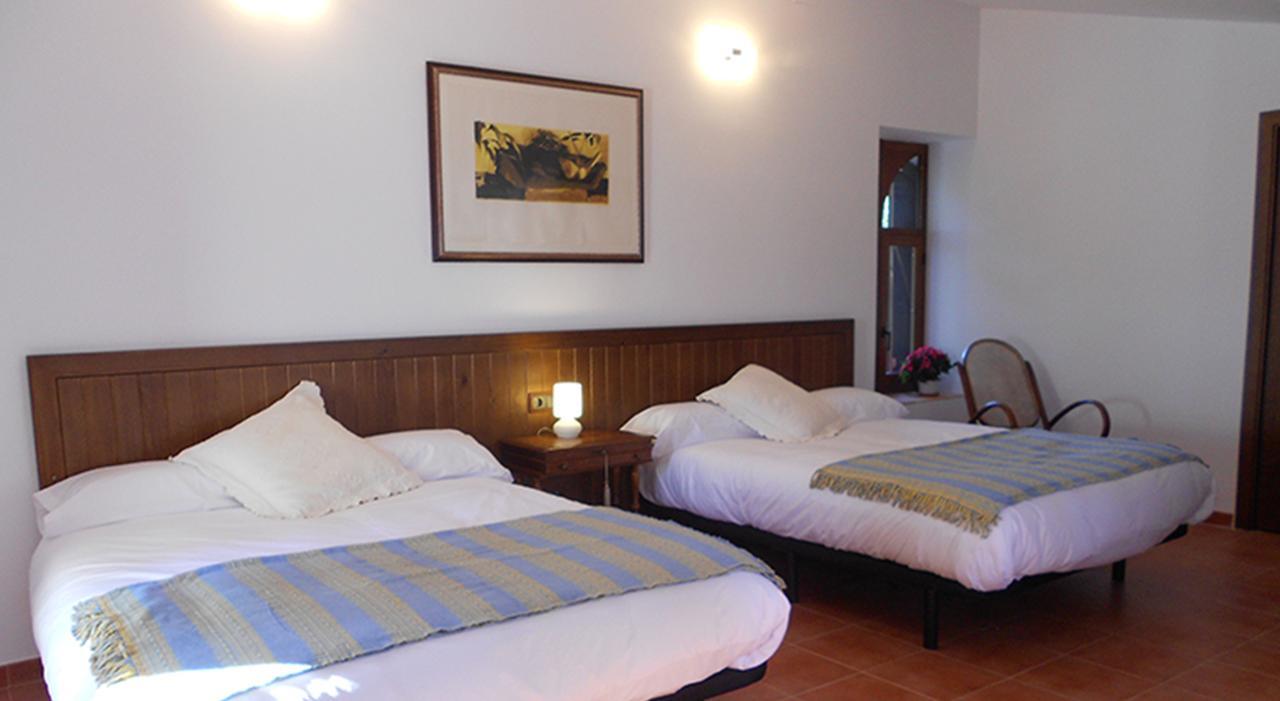 Suite Terrace,646779765:JPEG